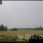 For Sale Land Rangpur