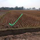 For Sale Land Rangpur Division
