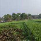 For Sale Land Mymensingh Division