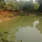 For Sale Land Mymensingh