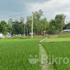 For Sale Land Rangpur