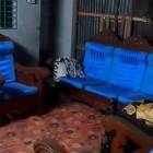 For Sale House Khulna