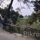 For Sale Land Khulna Division