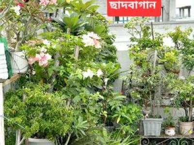 3 Bedroom Condo in Navana Real Estate, Mirpur for sale